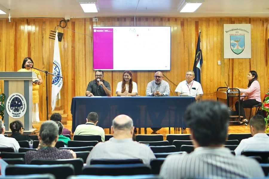 Define sector Salud estrategias ante temporada de lluvias 2025