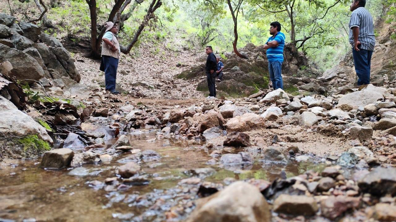 Impulsa Secretaría de Medio Ambiente acciones de conservación en la cuenca alta del río Atoyac