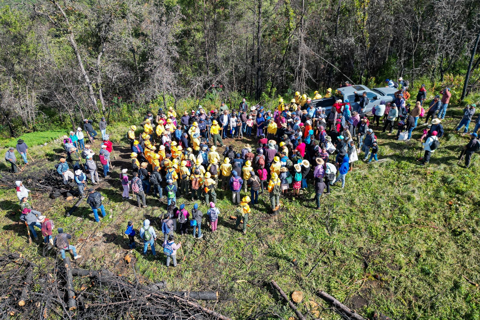 En compromiso con el ambiente, Coesfo y habitantes de San Miguel Peras reforestan 15 hectáreas