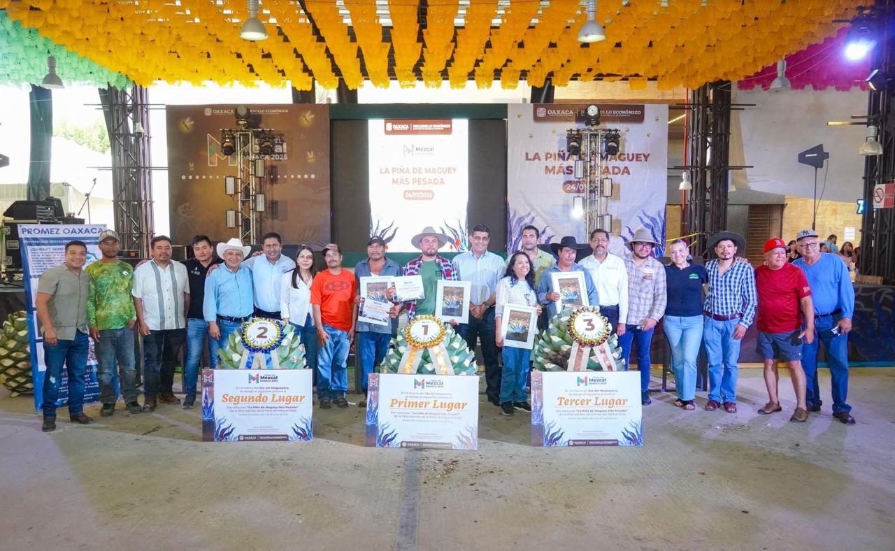 Celebra Sedeco Día de la y el Magueyero Oaxaqueño con una piña de 319.2 kilogramos