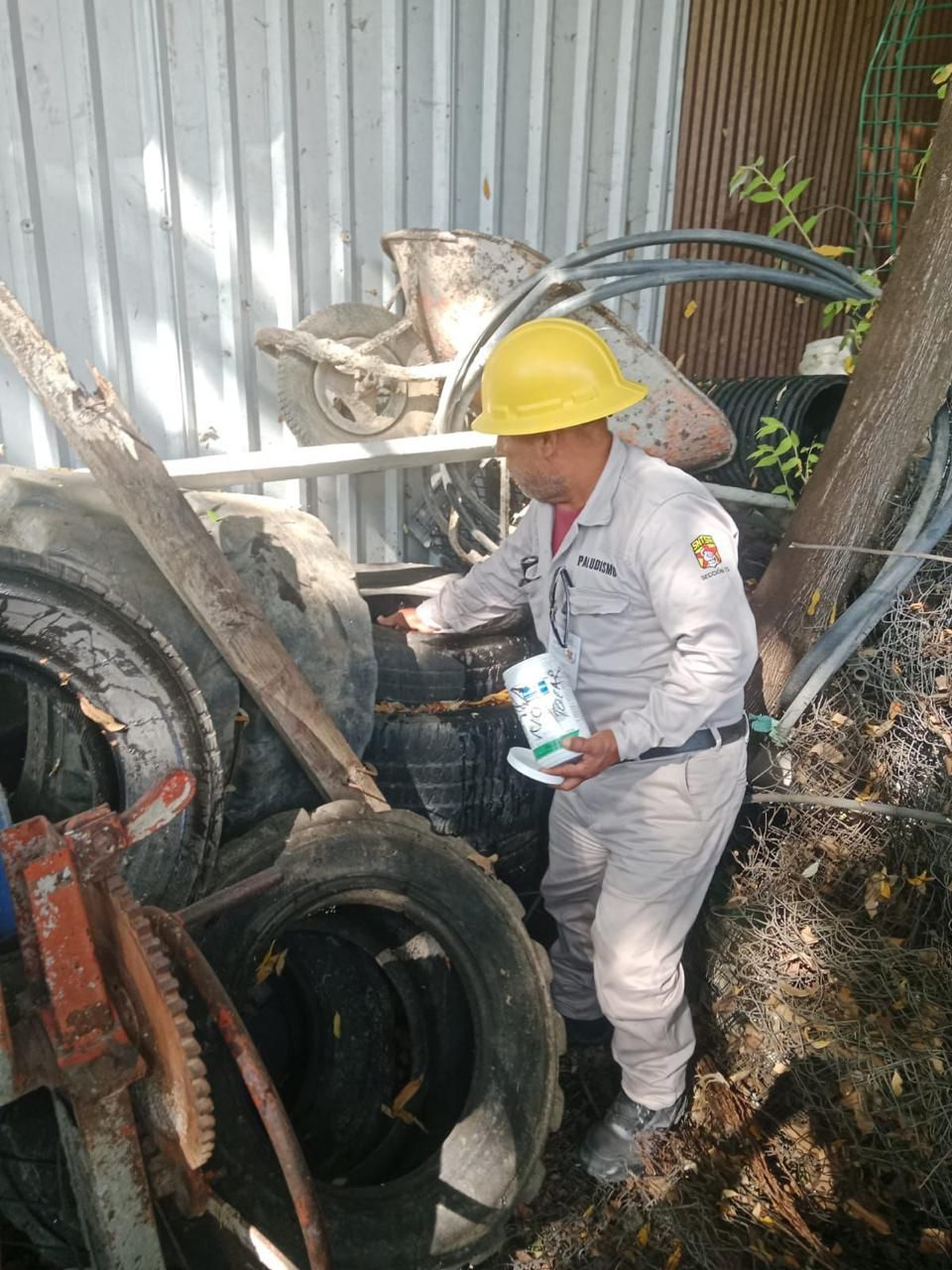 Llama SSO a reforzar la prevención comunitaria ante casos de dengue