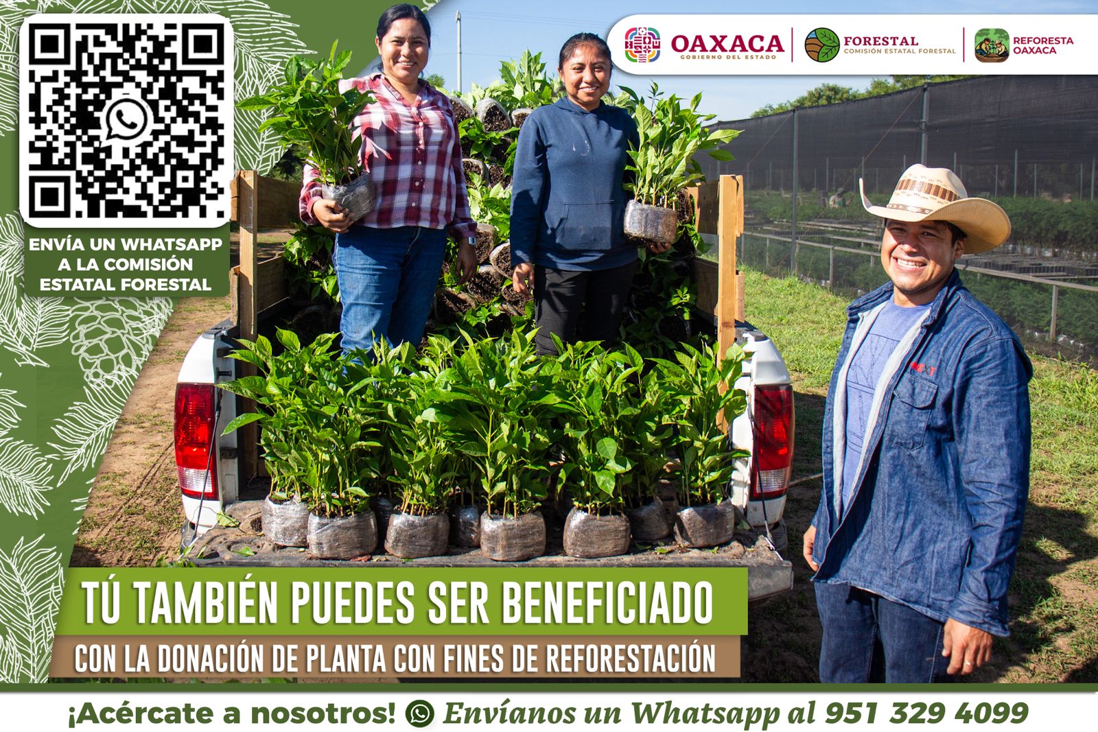 Continúa abierta convocatoria del programa Reforesta Oaxaca 2025