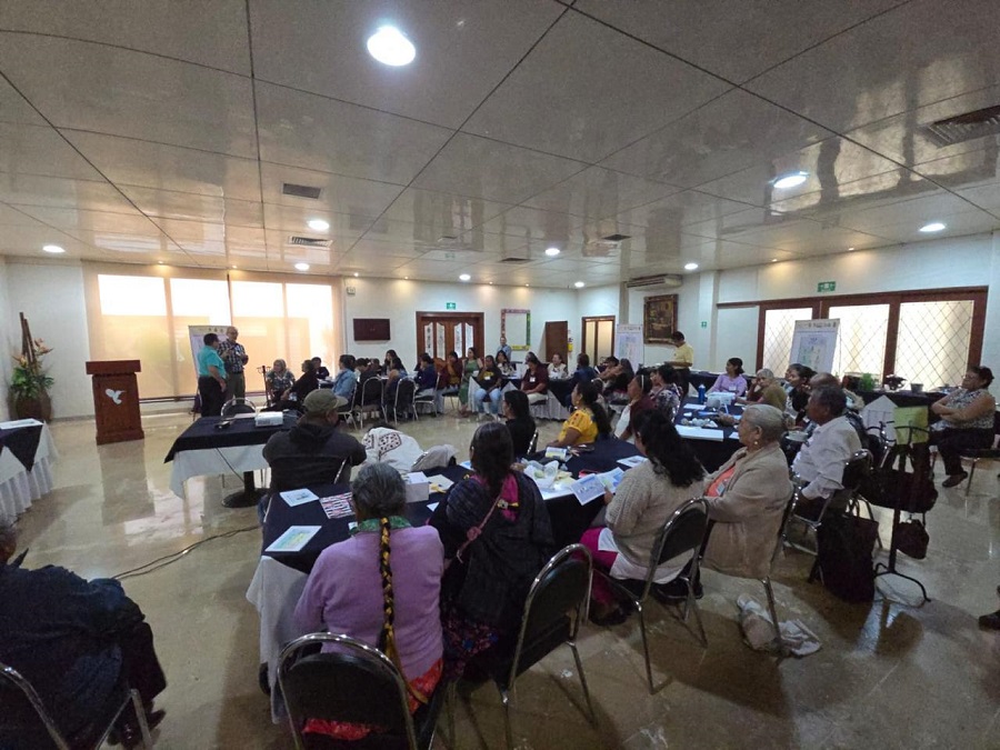Con saberes tradicionales y ciencia, Oaxaca fortalece la atención neonatal