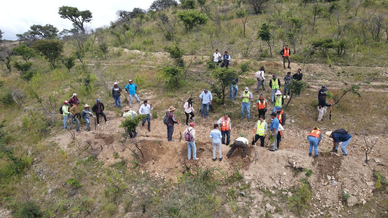 Impulsa Secretaría de Medio Ambiente restauración de 12 hectáreas de suelos en San Francisco Telixtlahuaca