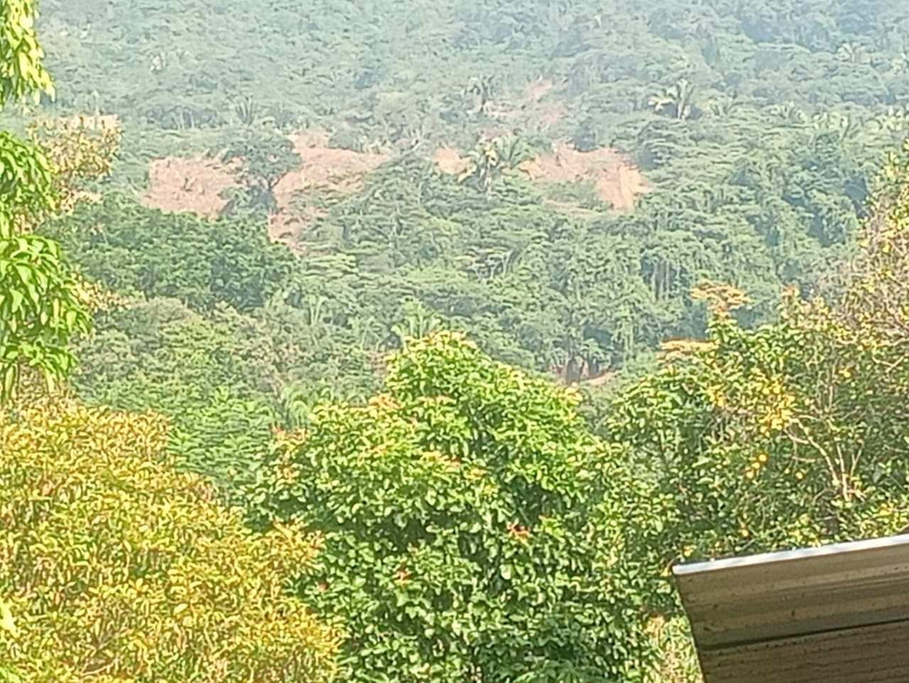 Descarta Protección Civil falla geológica en San Felipe Jalapa de Díaz