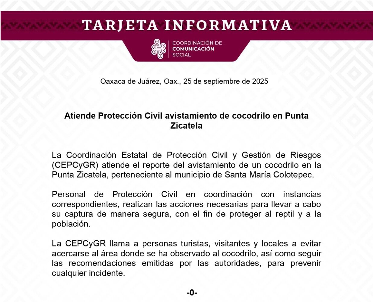 Atiende Protección Civil avistamiento de cocodrilo en Punta Zicatela
