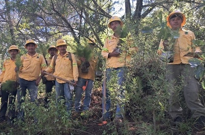 Coesfo y autoridades agrarias de Sola de Vega trabajan unidos por la recuperación ambiental