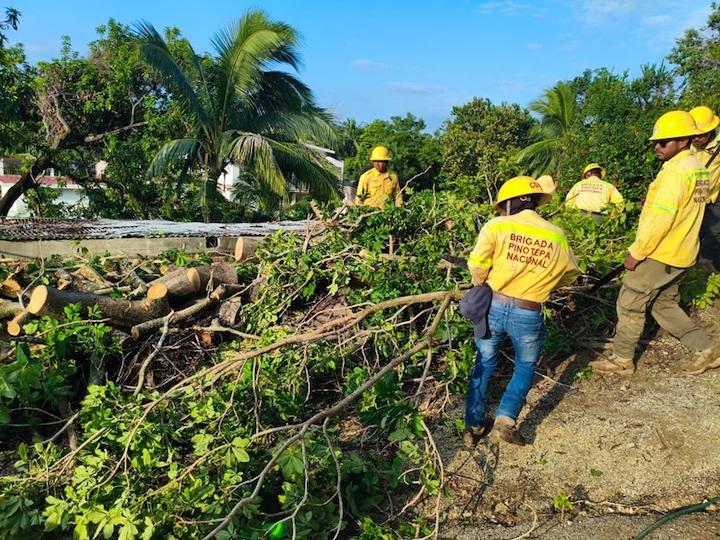 Mantiene Coesfo acciones de atención en Pinotepa Nacional como parte de la estrategia La Costa de Pie