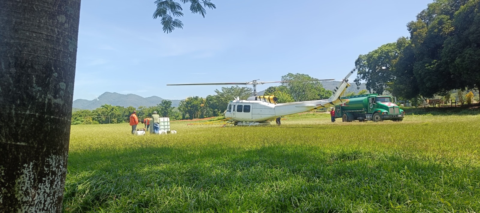 Asperja Coesfo 521 hectáreas de San Andrés Cabecera Nueva para combate de plagas forestales