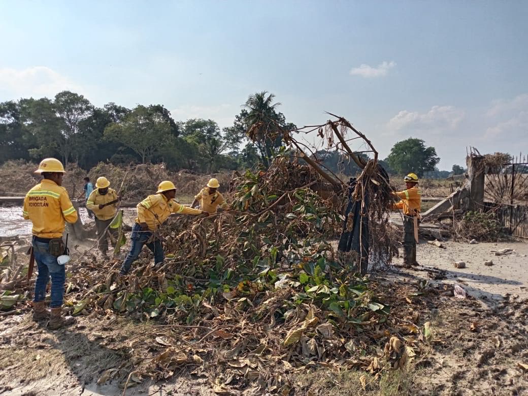 Despliega Coesfo brigadas en Veracruz para atender afectaciones por lluvias