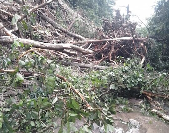 Informa Protección Civil cierre de la carretera federal 175 tramo Valle Nacional–Oaxaca