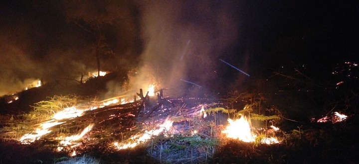Atiende Coesfo quema agrícola no supervisada en zona forestal de Chimalapas