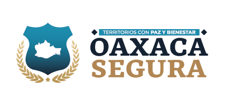 Con Operación Cazador, Gobierno de Oaxaca mantiene vigilancia aérea diaria en escuelas de la Zona Metropolitana