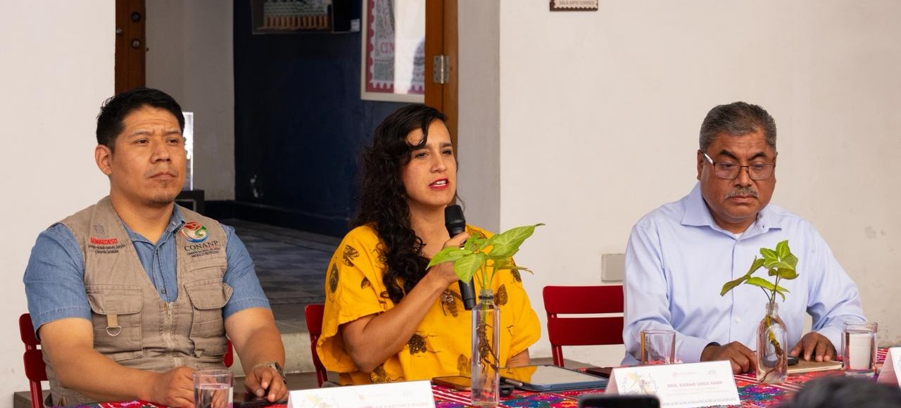 Presenta Secretaría de Medio Ambiente actividades del Festival de las Aves de Oaxaca 2025