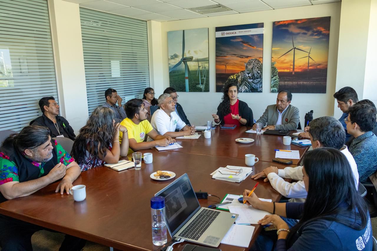 Trabaja Secretaría de Medio Ambiente en la creación del Comité Técnico de Atención a los Árboles Notables y Urbanos de Oaxaca de Juárez