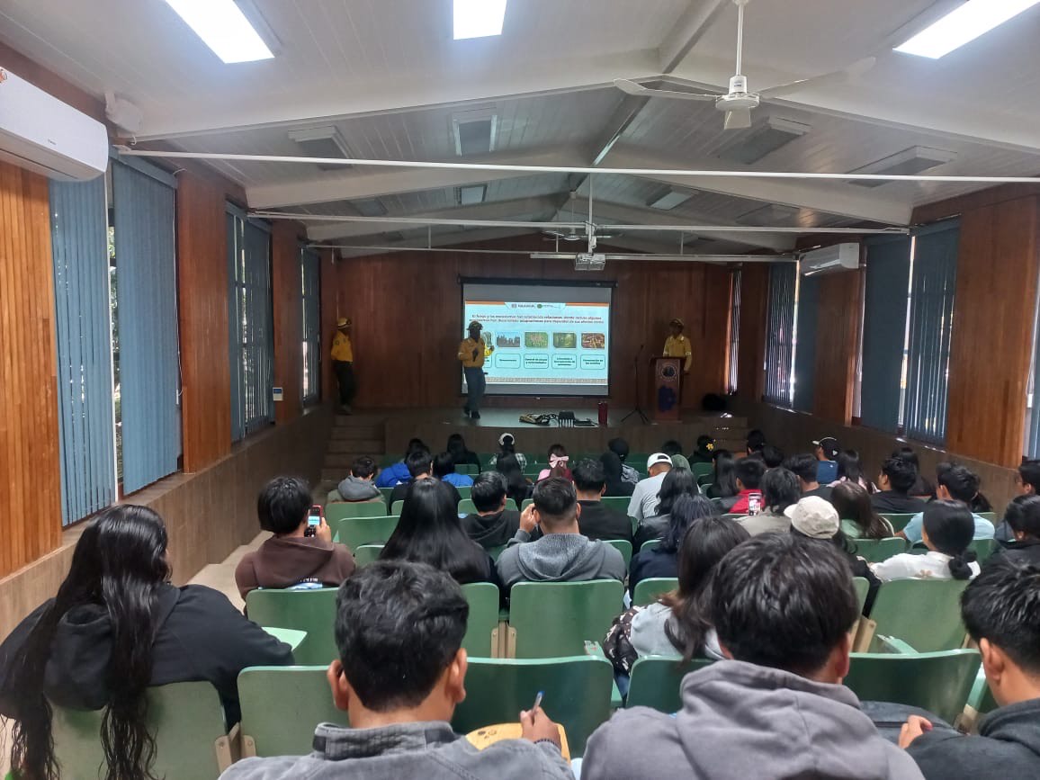 Participa Coesfo en formación de estudiantes en ingenierías Forestal y Ambiental del TecNM campus Valle de Oaxaca
