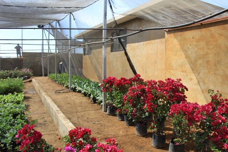 Pone Coesfo en marcha vivero en la nueva Estación de Transferencia de Residuos Sólidos Urbanos