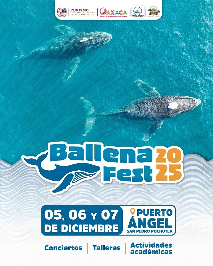 Puerto Ángel será sede de la primera edición del Ballena Fest 2025