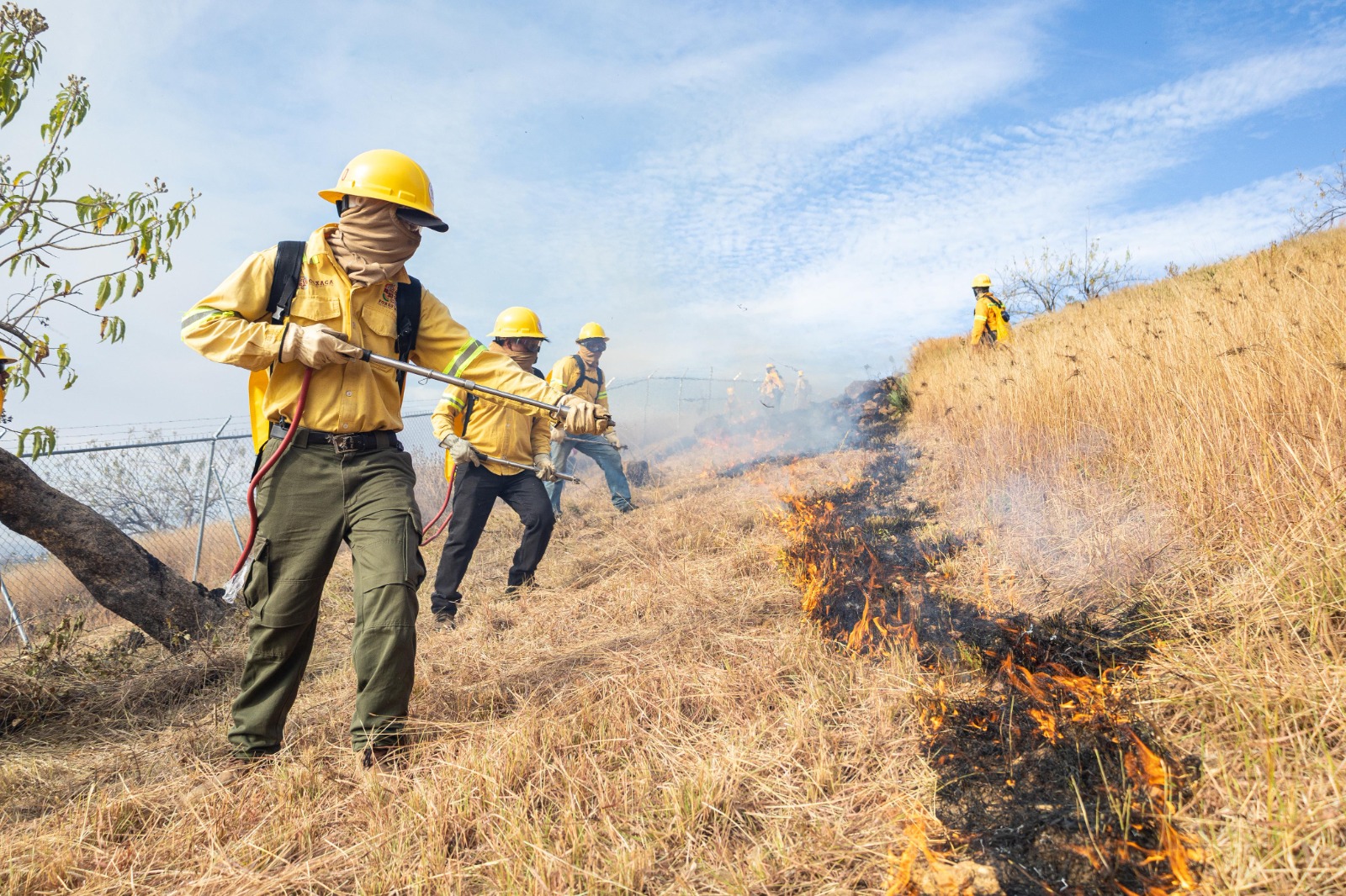 Inicia Coesfo apertura de línea negra para proteger el perímetro de Monte Albán