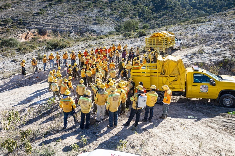 Realiza Coesfo saneamiento de 178 hectáreas de bosque en San Miguel Tequixtepec