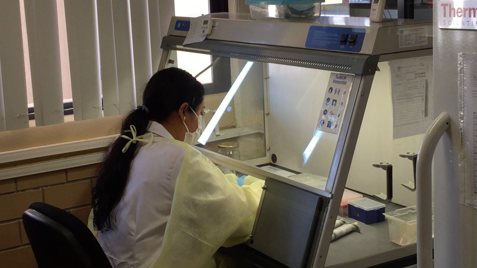 Realiza Laboratorio Estatal más de 12 mil estudios sanitarios en 2025: SSO