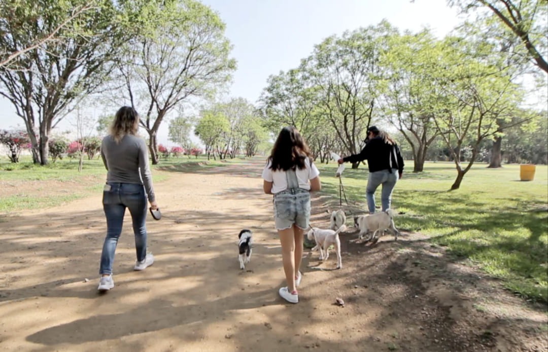 Invita Secretaría de Administración a disfrutar de los parques pet friendly que tiene bajo su resguardo