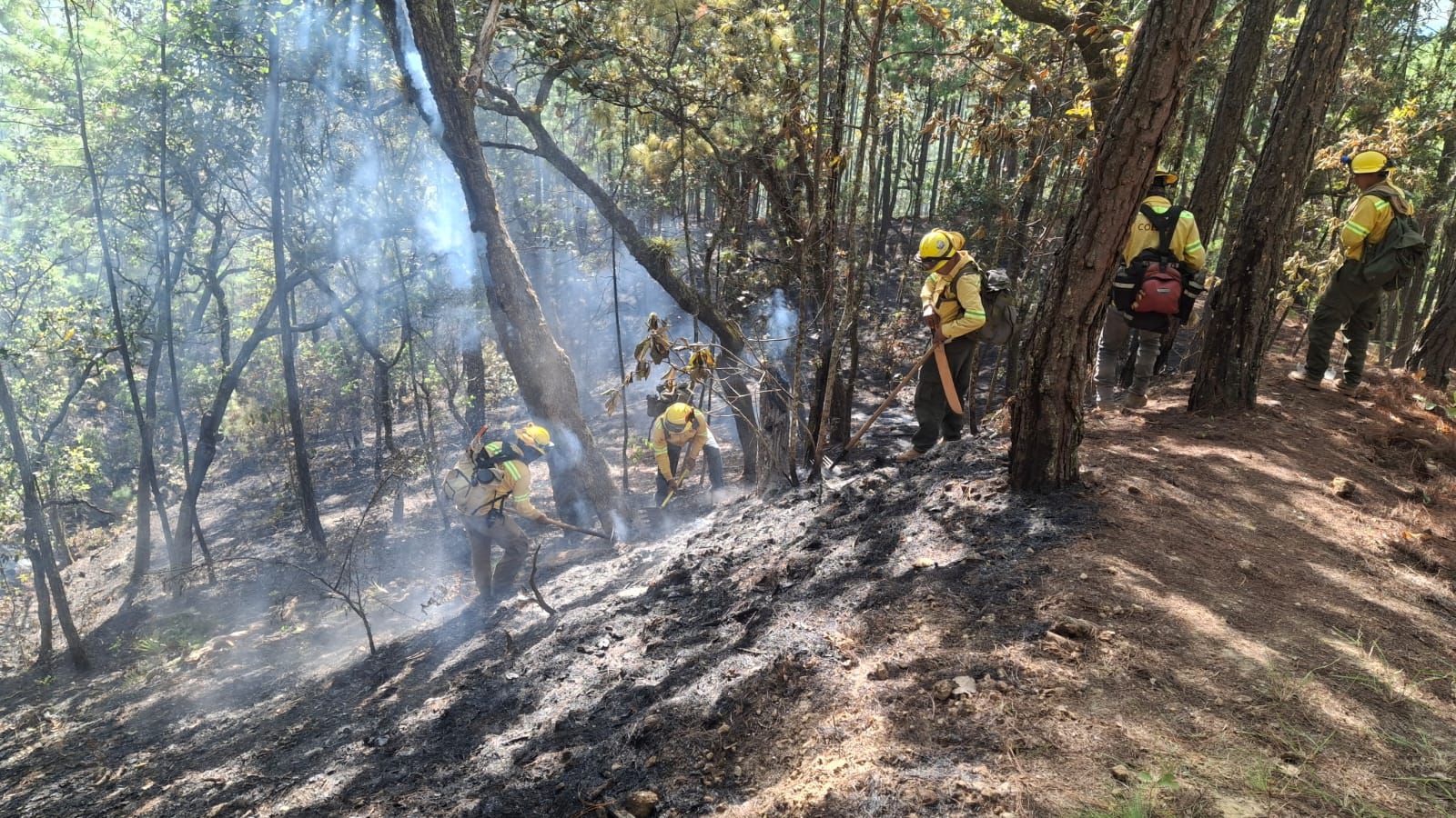 Atiende Coesfo incendio forestal en San Lorenzo Texmelucan