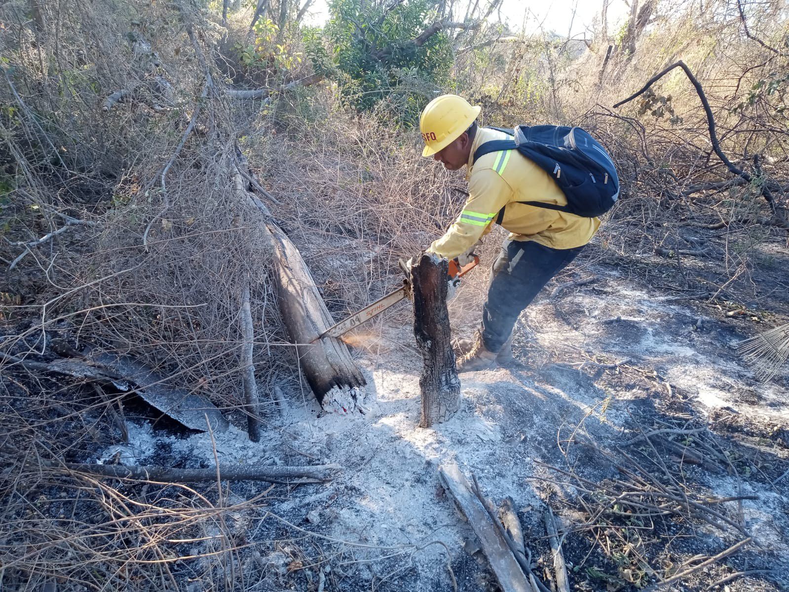 Liquida Coesfo incendio forestal en Santiago Astata