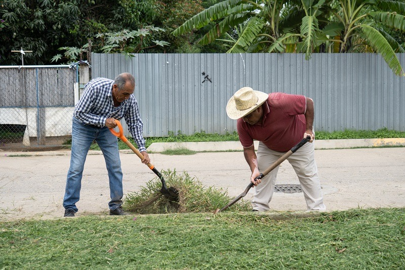 Cierra Oaxaca el año con una reducción del 93.27% en casos de dengue