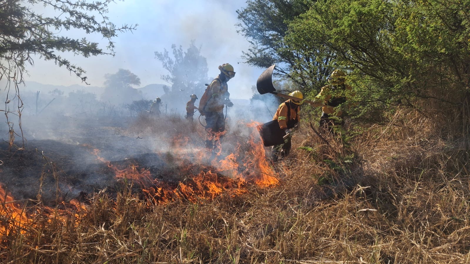 Atiende Coesfo incendio intermunicipal registrado en Soledad Etla y Reyes Etla