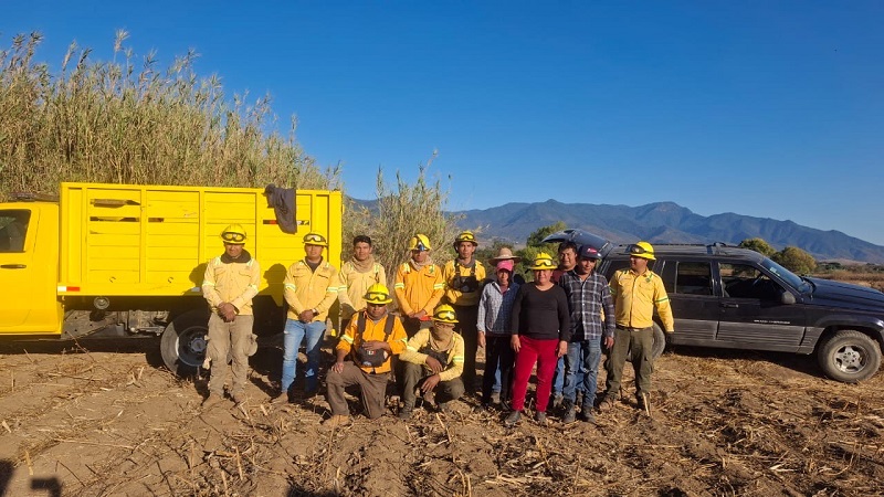 Reporta Coesfo incendio forestal controlado en límites de Soledad Etla y Reyes Etla