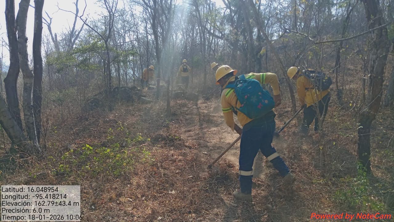 Atiende Coesfo incendio forestal en Santo Domingo Tehuantepec