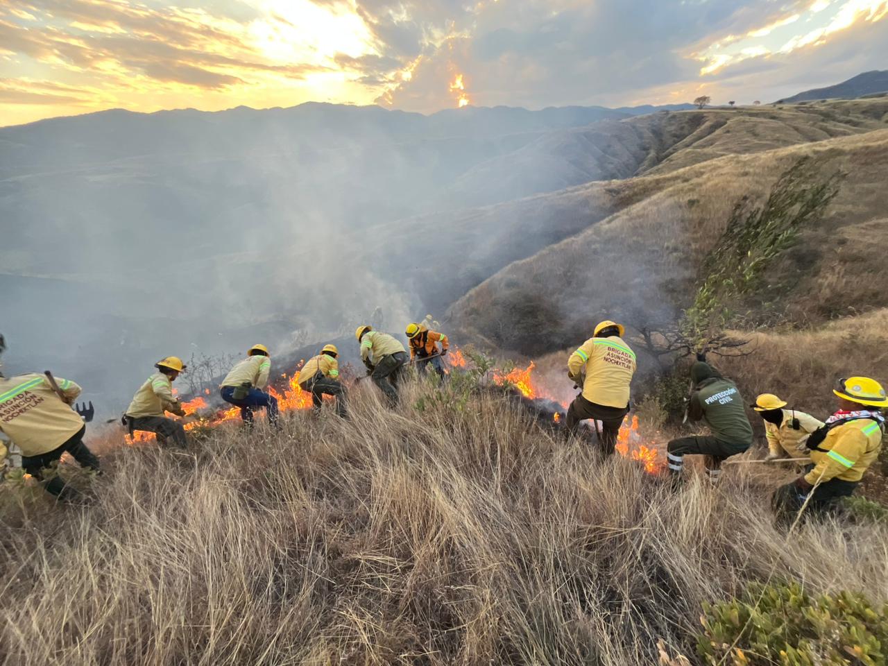 Atiende Coesfo incendio de pastizal en Cuilápam de Guerrero; reporta 100% de control