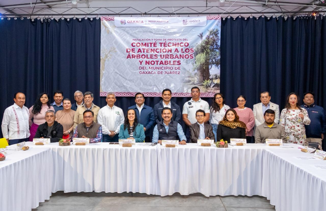 Fortalece Gobierno del Estado atención y protección de árboles notables de la ciudad capital