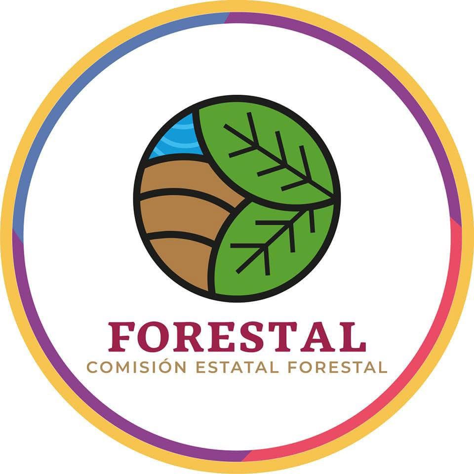 Continúa Coesfo trabajos de combate y contención en incendio forestal de Santo Domingo Tehuantepec