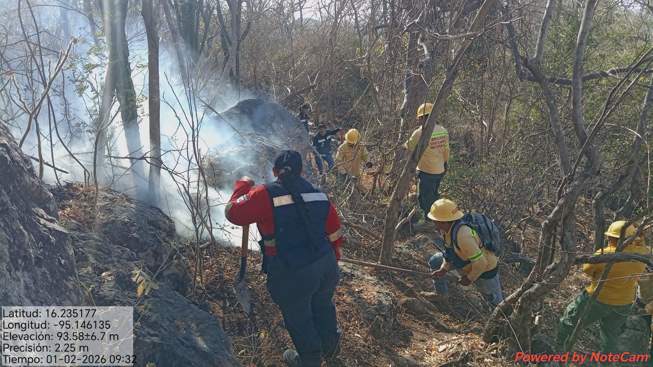 Liquida Coesfo incendio forestal en San Pedro Huilotepec