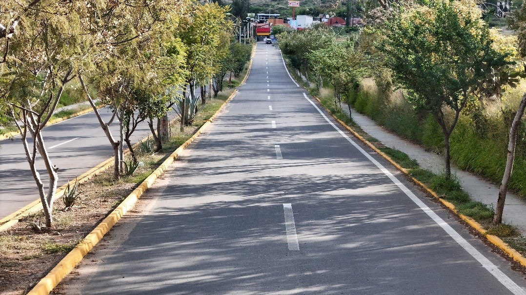 Pavimenta Gobierno de Oaxaca acceso al fraccionamiento Álamos en la capital del estado