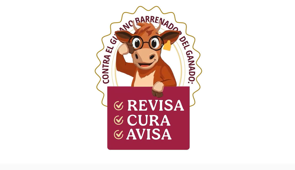 Gobierno de Oaxaca y Federación intensifican combate al gusano barrenador para blindar la salud pública