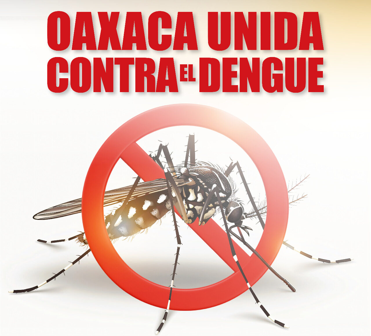 Exhorta SSO a la población a mantener medidas preventivas contra el dengue