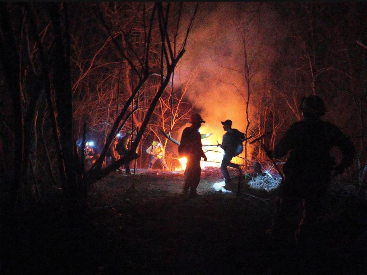 Reporta Coesfo avance del 60% en control de incendio forestal en Santa María Xadani y San Miguel del Puerto