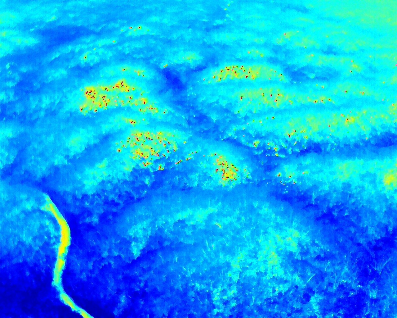 Reporta Coesfo 70% de liquidación en incendio forestal de San Miguel del Puerto