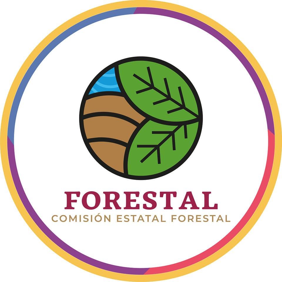 Liquidan 3 incendios forestales en la Mixteca; hay 3 activos en el Istmo de Tehuantepec: Coesfo