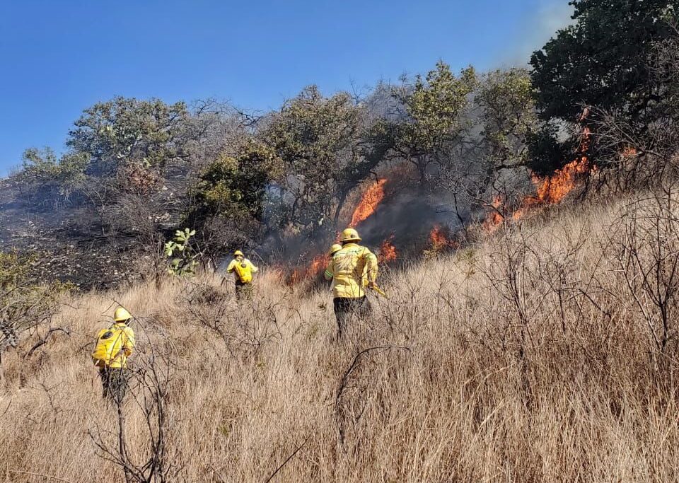 Atiende Coesfo cuatro incendios forestales registrados en diferentes regiones de Oaxaca