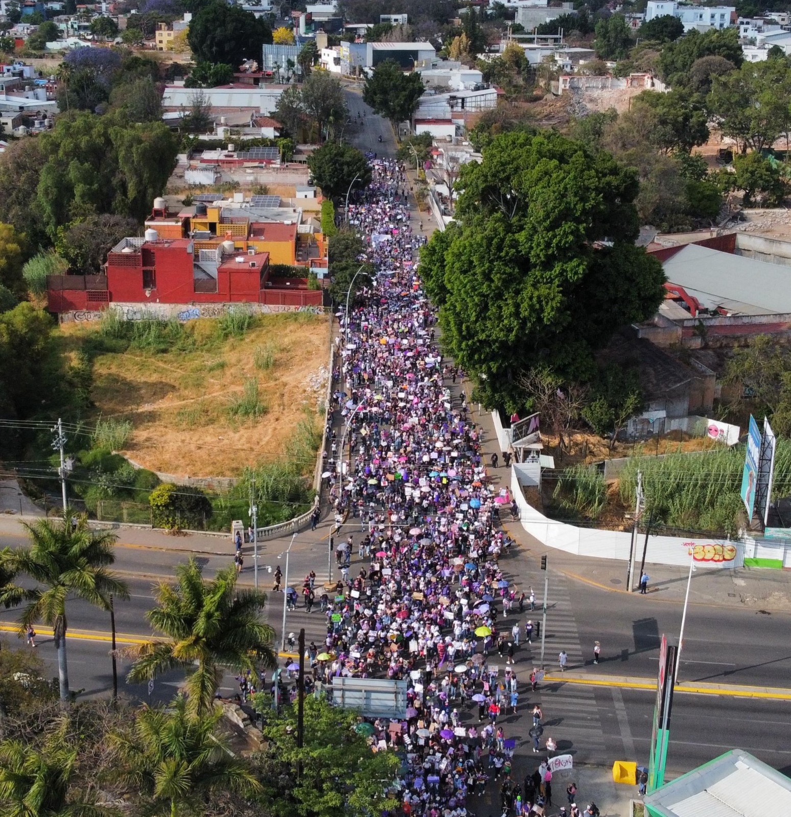 Se garantizó la integridad ciudadana y el respeto a la libre manifestación en jornada del 8M
