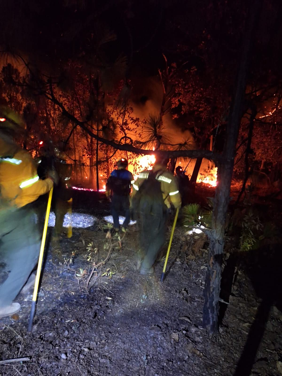 Atiende Coesfo incendios forestales en la región Mixteca