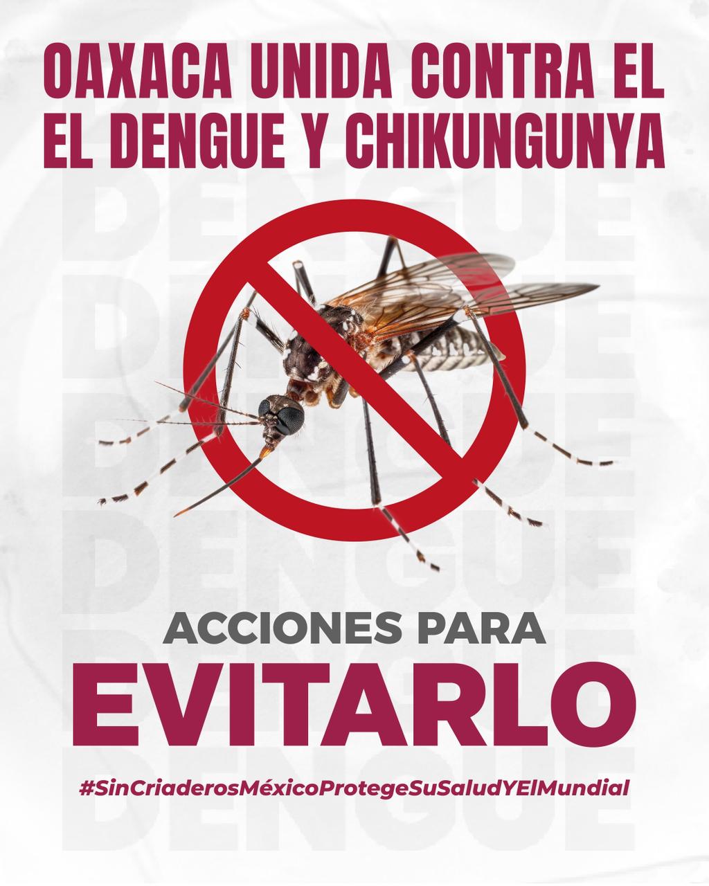 Llama SSO a fortalecer acciones de prevención de reproducción del mosco transmisor del dengue