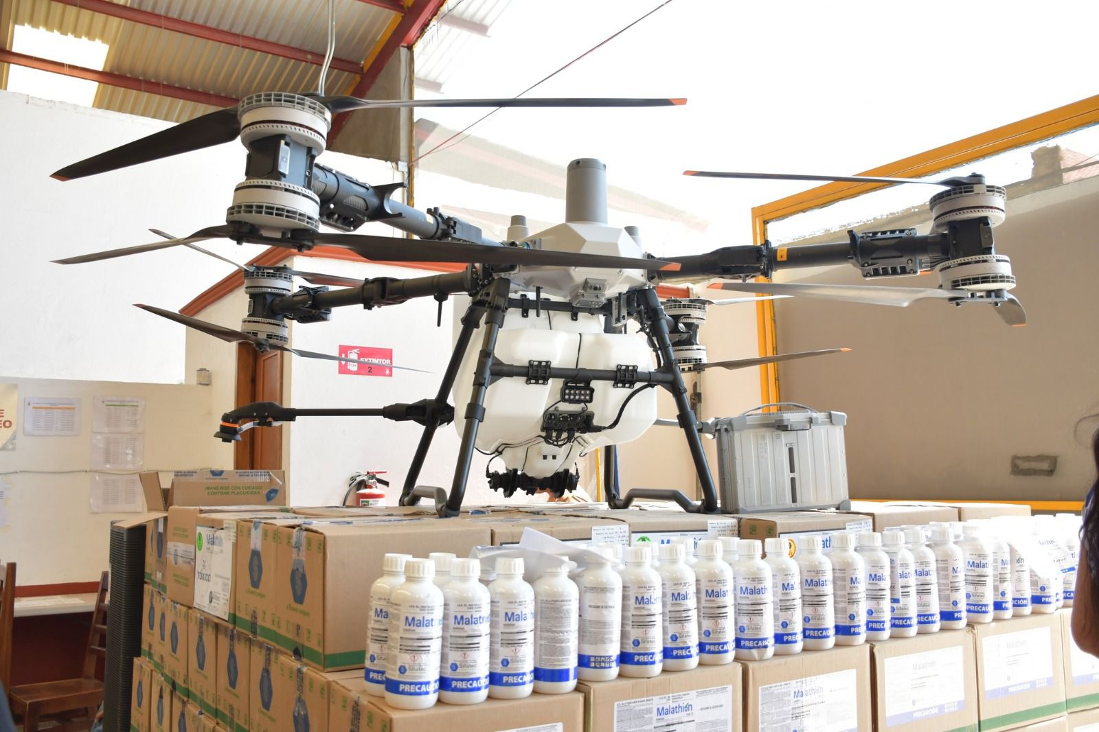 Avalado por Cofepris, uso de malatión para combatir la mosca de la fruta