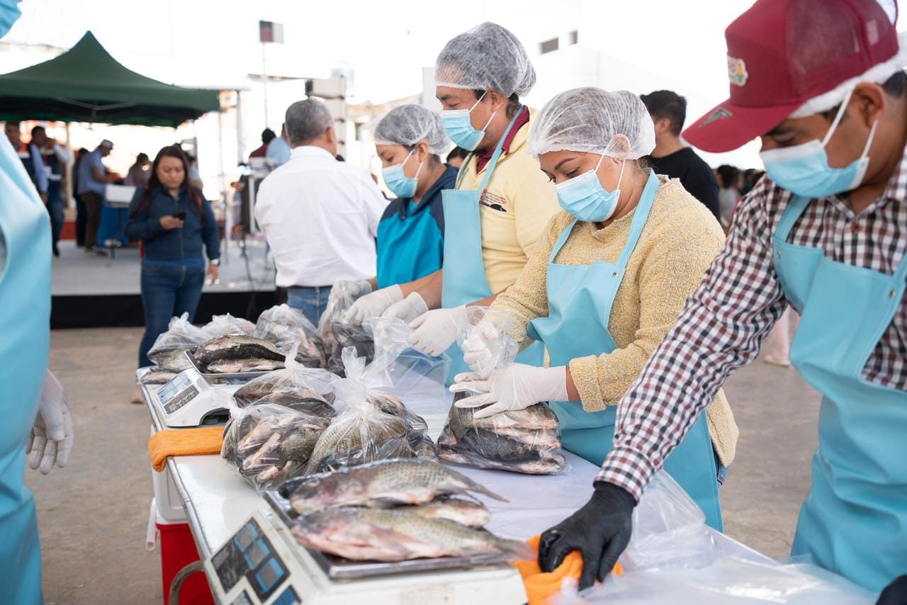 Arranca Salomón Jara “Cuaresma Primavera”, oferta a 40 pesos el kilo de pescado