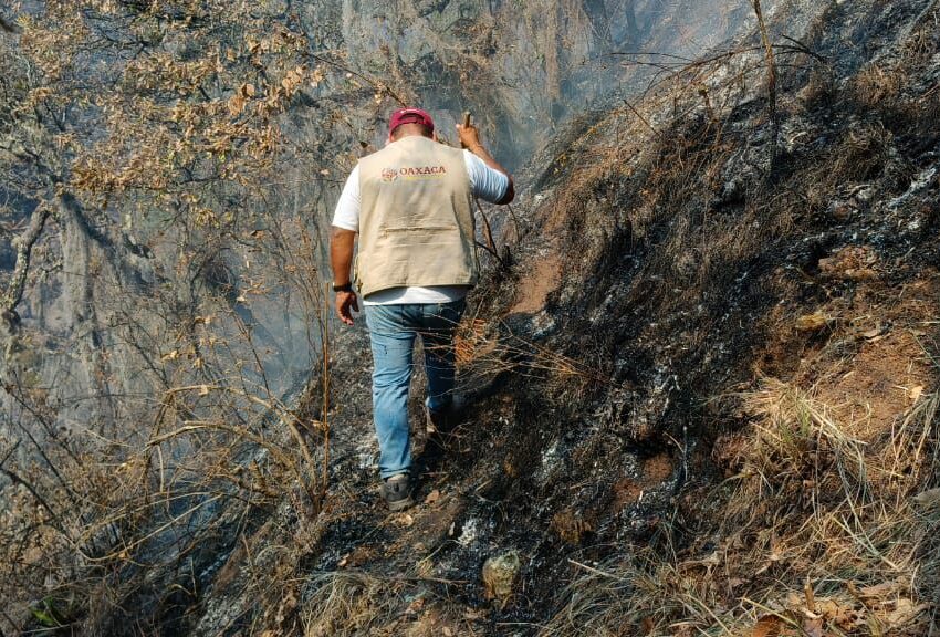 Acompaña CDPaz atención de incendios forestales