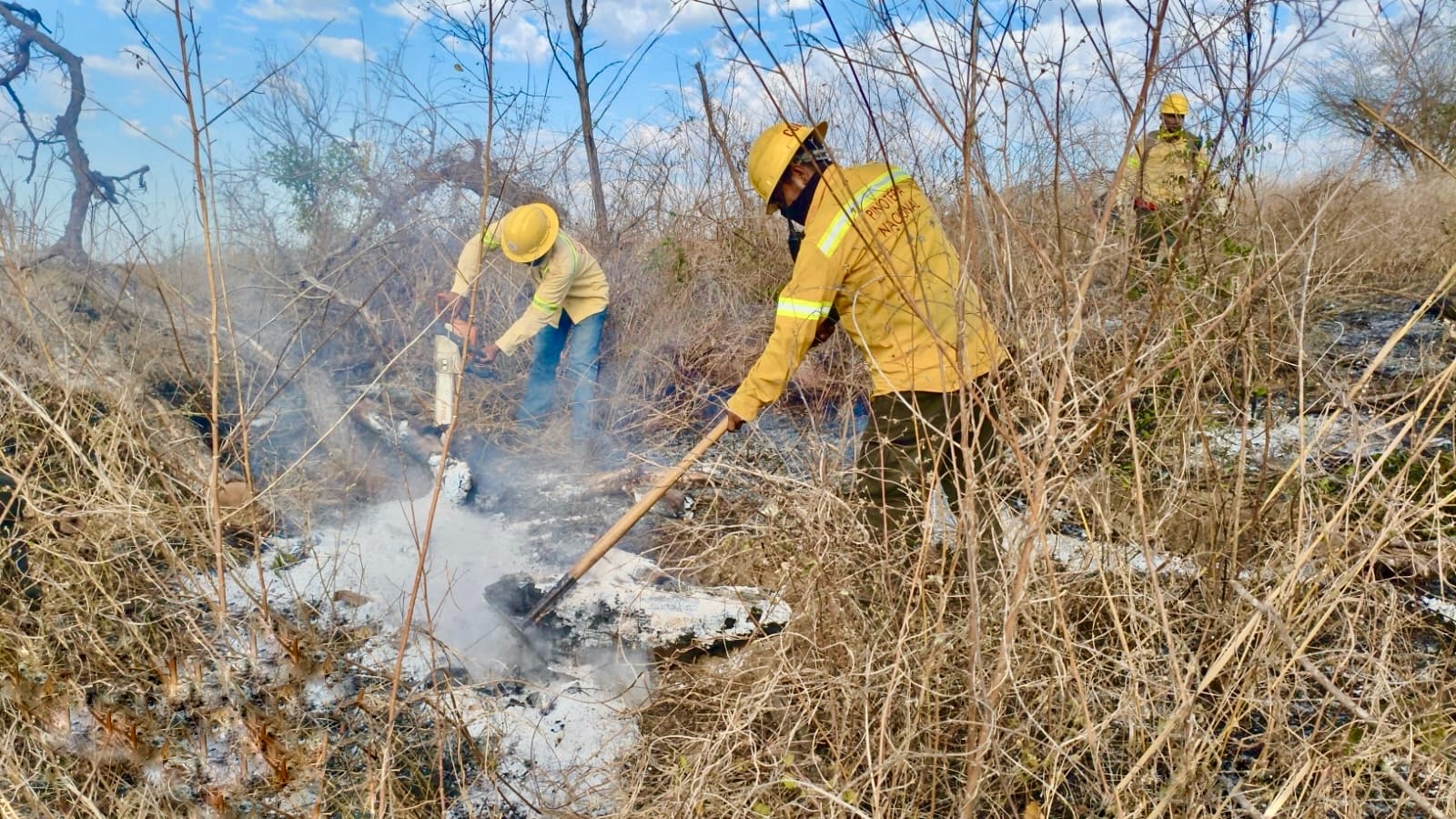 Mantiene Coesfo atención a incendios forestales y de pastizales en las ocho regiones de Oaxaca